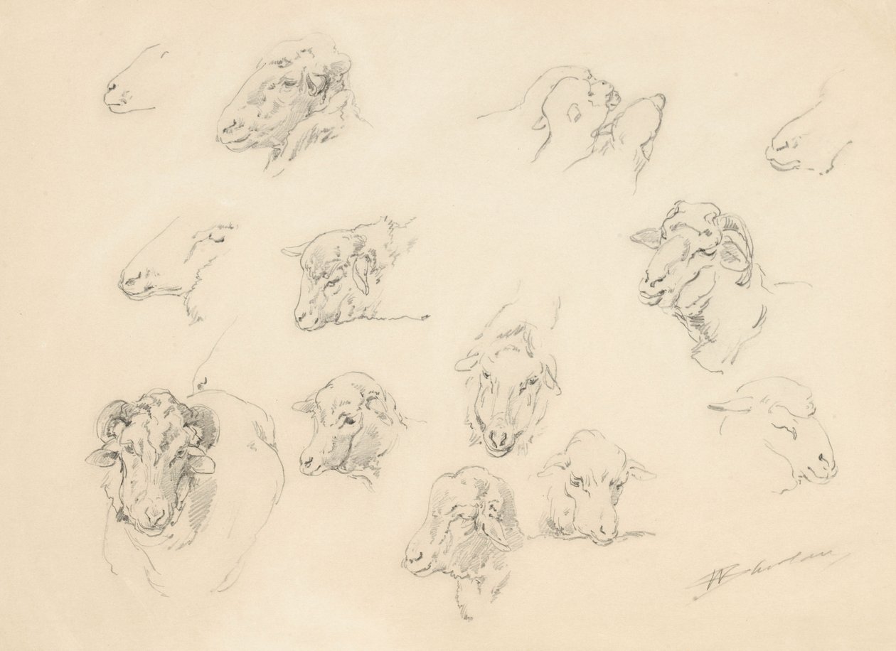 Studie av sauehoder, 1877 (grafitt på brunfarget papir) av Walter Shirlaw