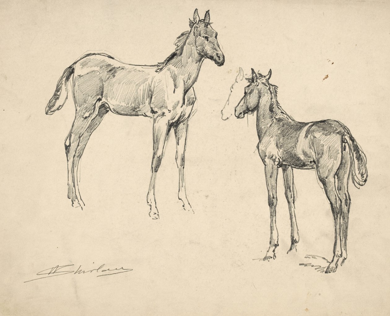 Studie av to føll av Walter Shirlaw