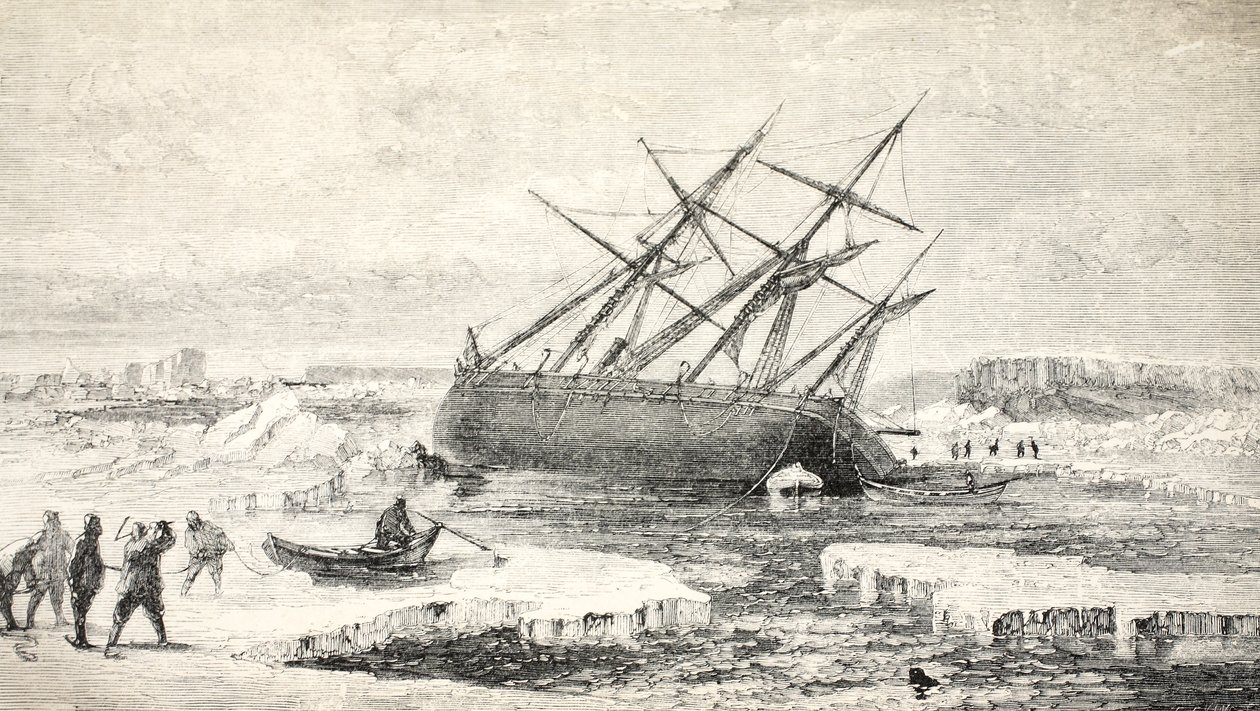 The Fox on a Rock nær Buchan Island, 1859 av Walter William May