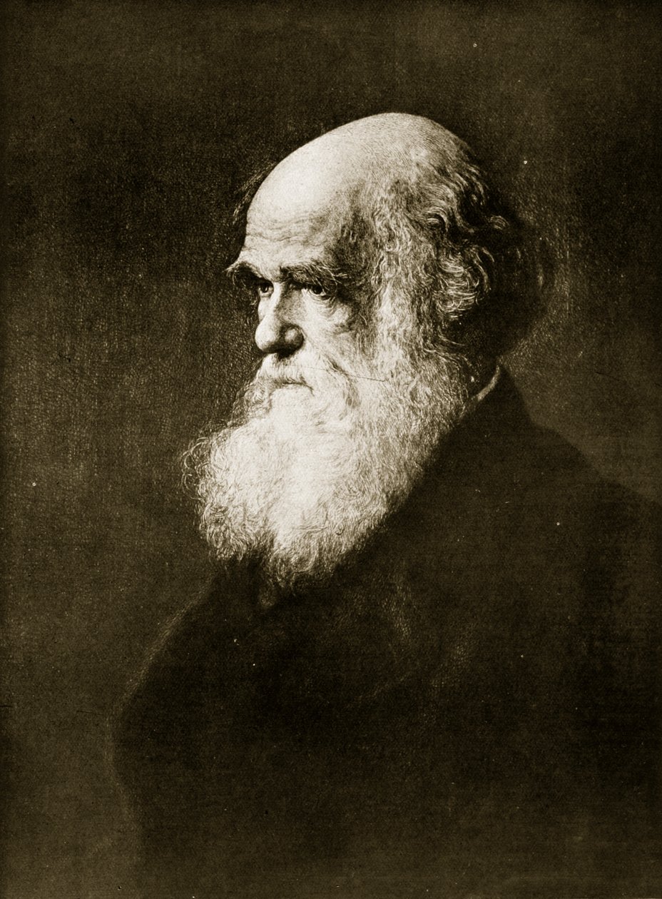 Charles Darwin, trykk etter maleriet av W.W. Ouless, illustrasjon fra 
