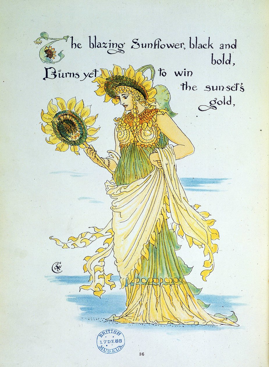 Solsikkeblomsten (solen) personifiserer i en ung kvinne kledd i gult og grønt. Plate 36 fra ""Flora