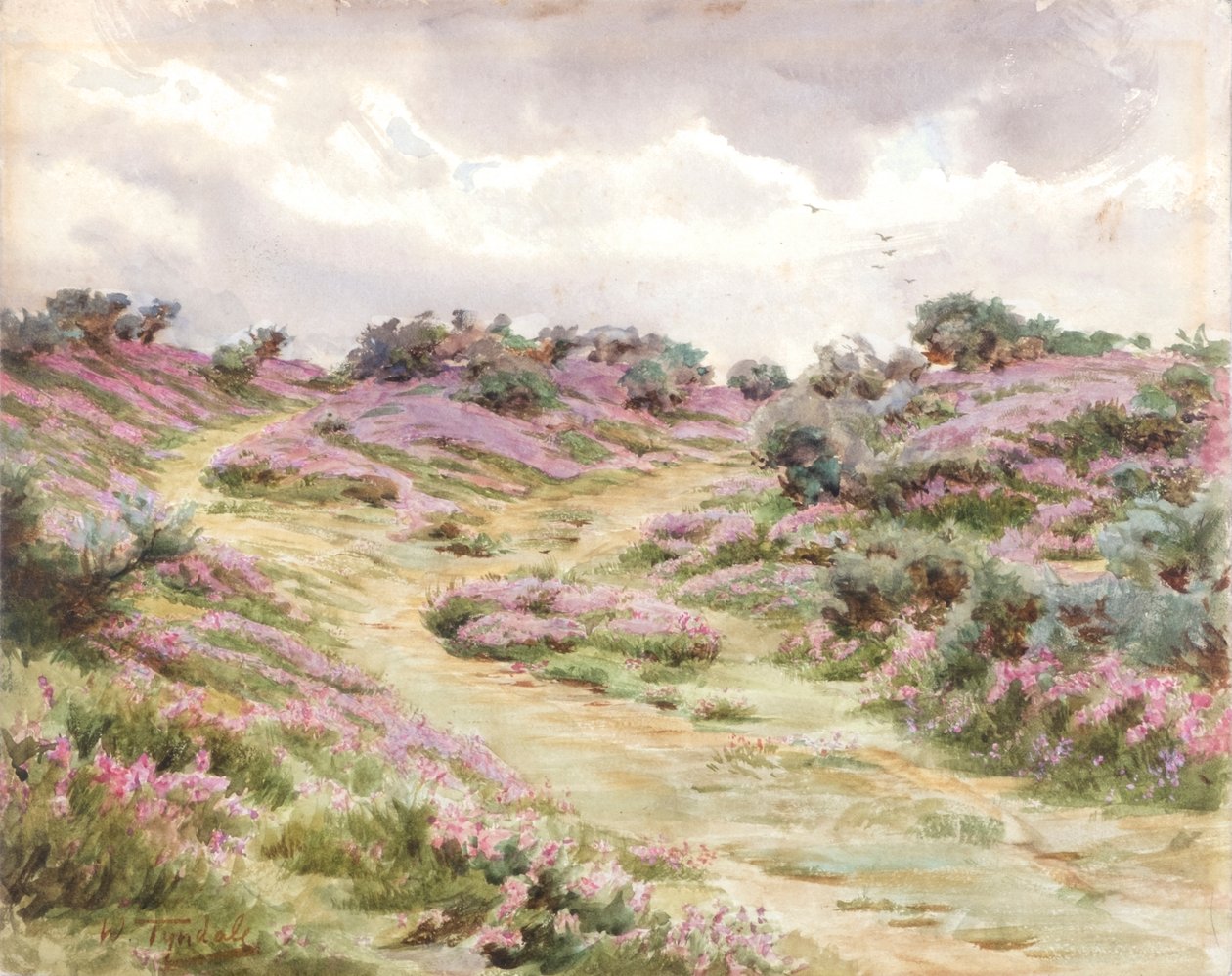  av Walter Frederick Roofe Tyndale