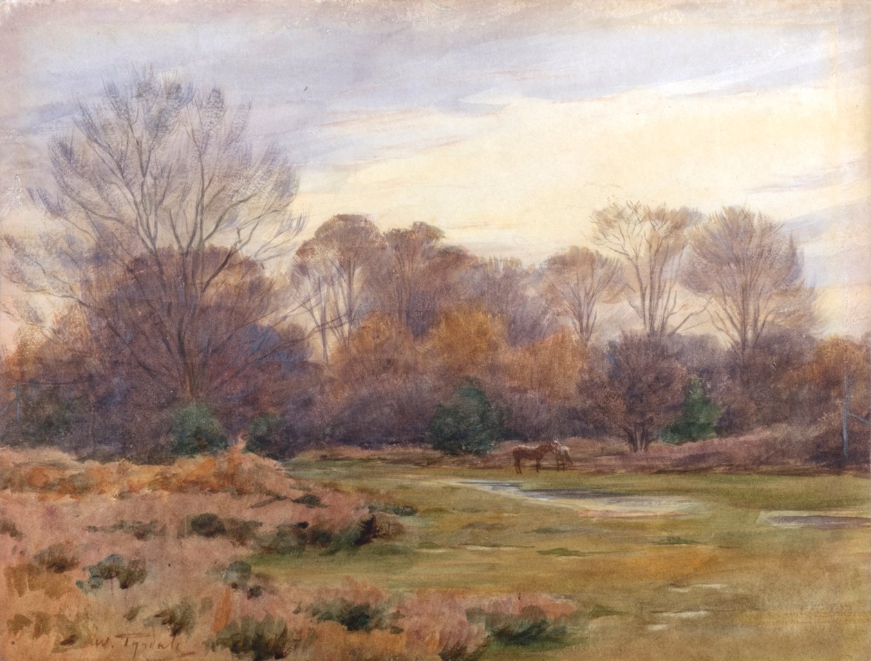  av Walter Frederick Roofe Tyndale