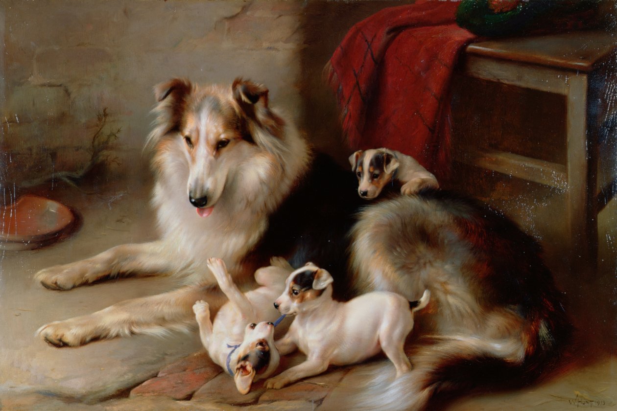 En Collie med Fox Terrier-valper, 1913 av Walter Hunt