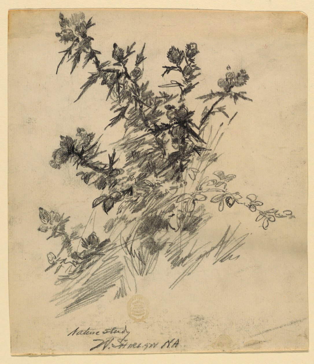 Naturstudie av Walter Shirlaw
