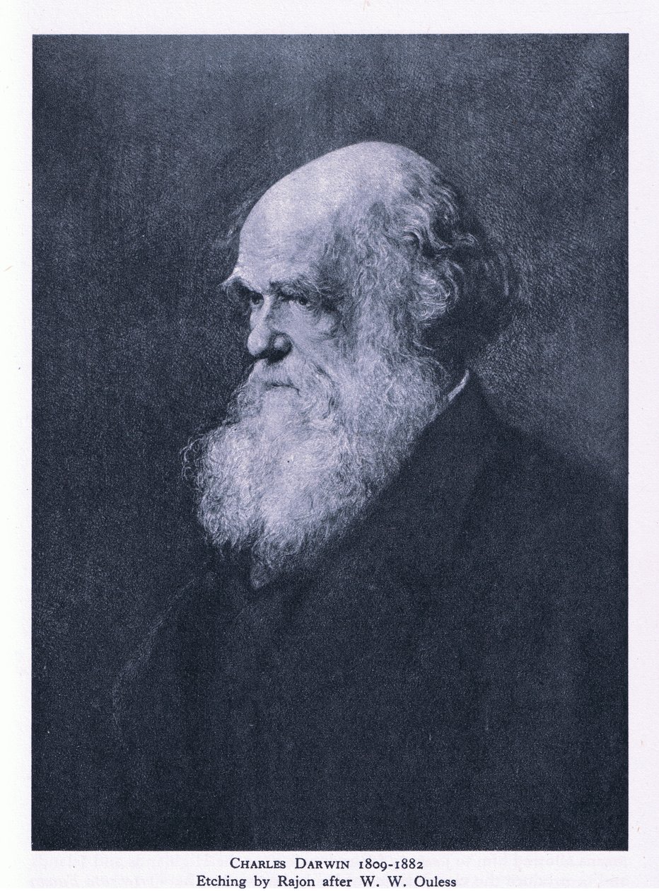 Etsning av Charles Darwin, Nature in Britain utgitt av Collins av Walter William (after) Ouless