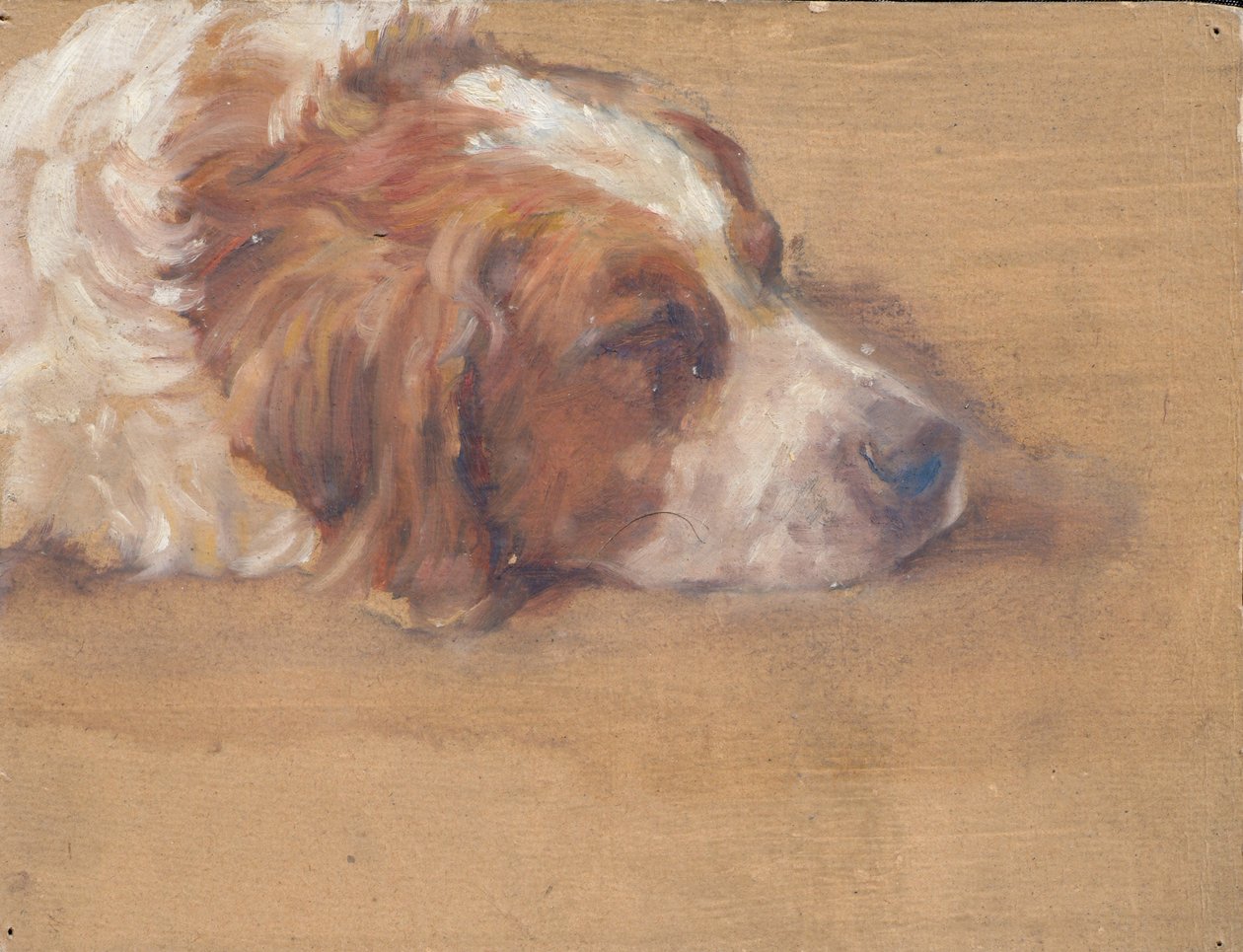 hundehode (studie) av Walther Gamerith