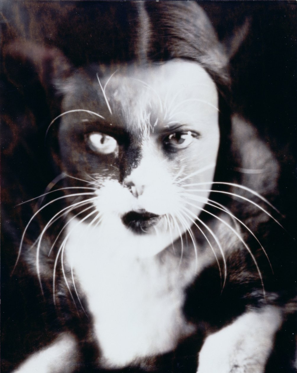  av Wanda Wulz