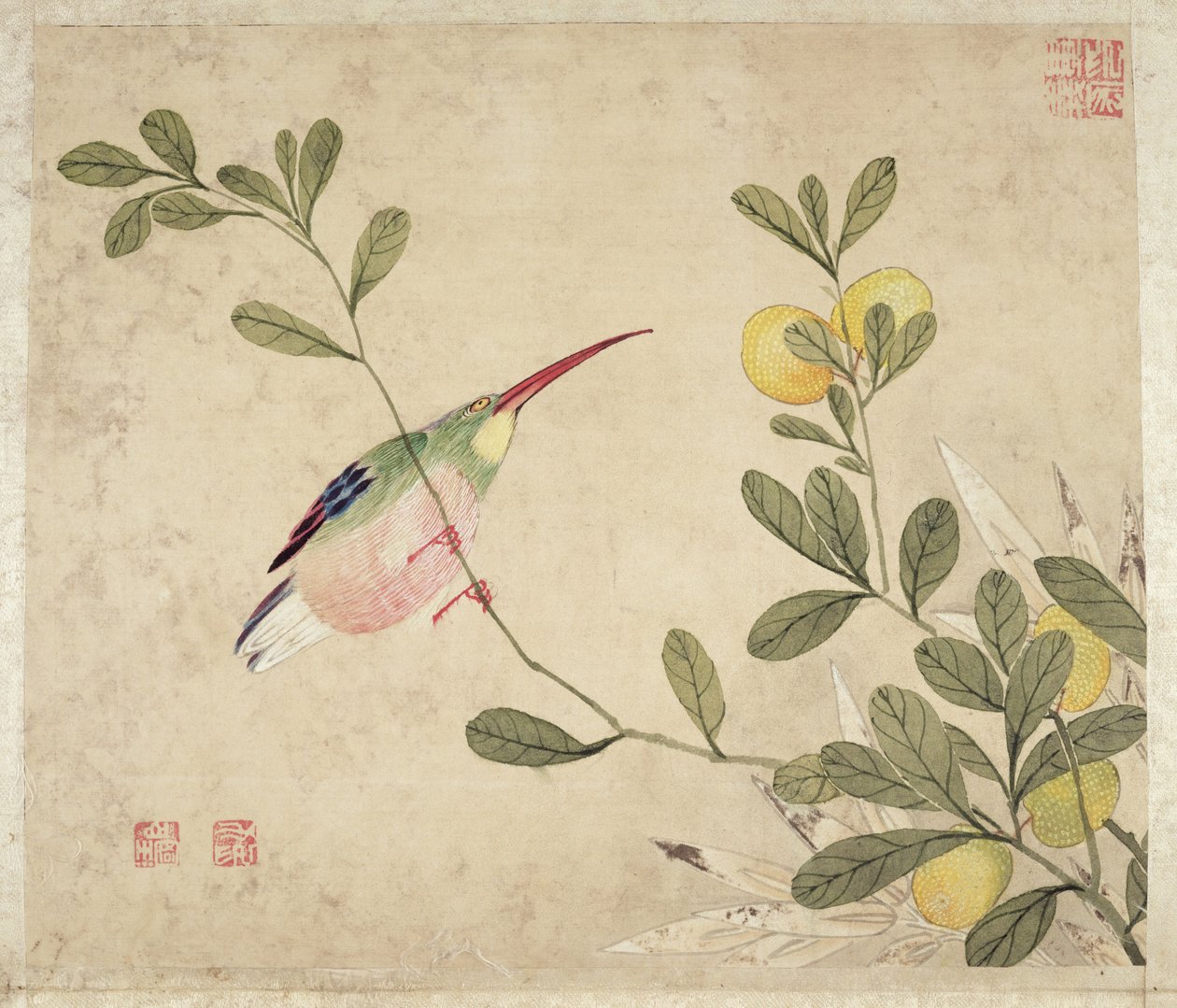 Et av en serie malerier av fugler og frukt, sent på 1800-tallet av Wang Guochen