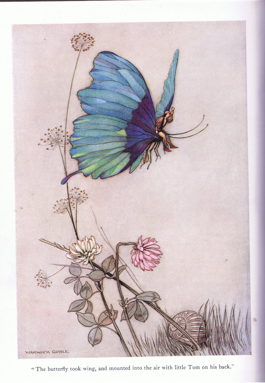 Sommerfuglen tok vinge av Warwick Goble