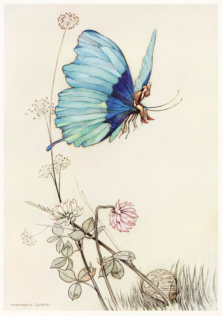Sommerfuglen tok vinge og satte seg opp i luften med lille Tom på ryggen, fra The Fairy Book,1 av Warwick Goble