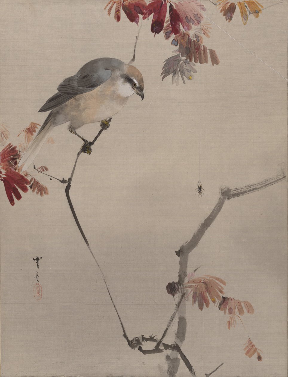 Bird on Branch Watching Spider, ca. 1887. av Watanabe Seitei