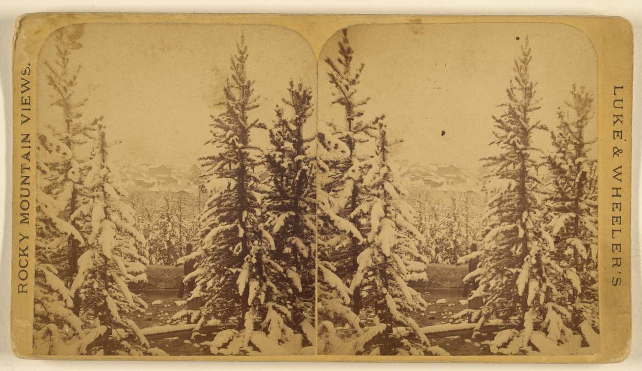  av Wellington O. Luke and Dansford Noble Wheeler