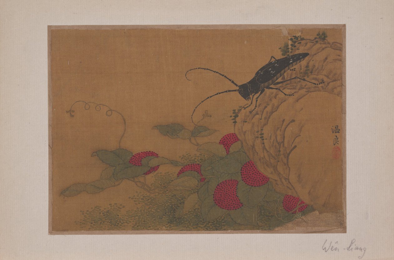 Grasshopper on Rock, 1400-tallet. av Wen Liang