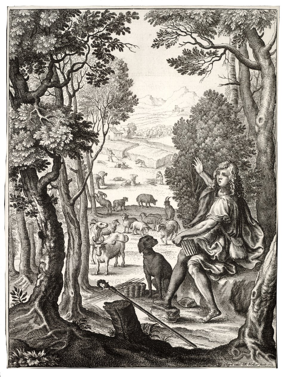 Alexis av Wenceslaus Hollar