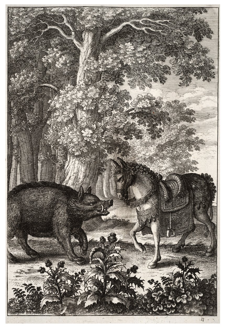 Villsvin og ass av Wenceslaus Hollar