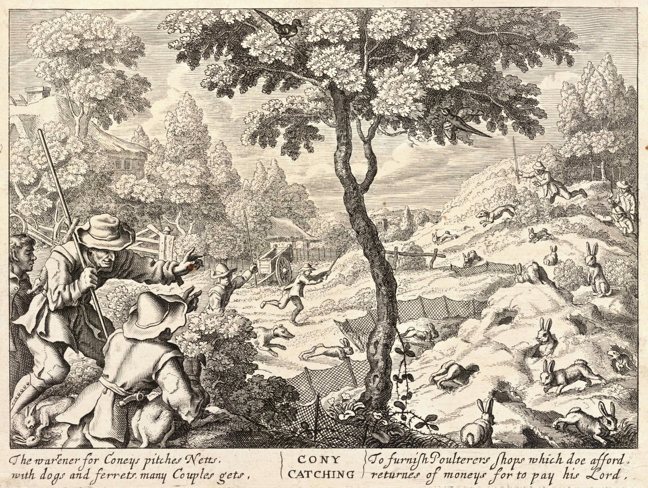 Coney fanger av Wenceslaus Hollar