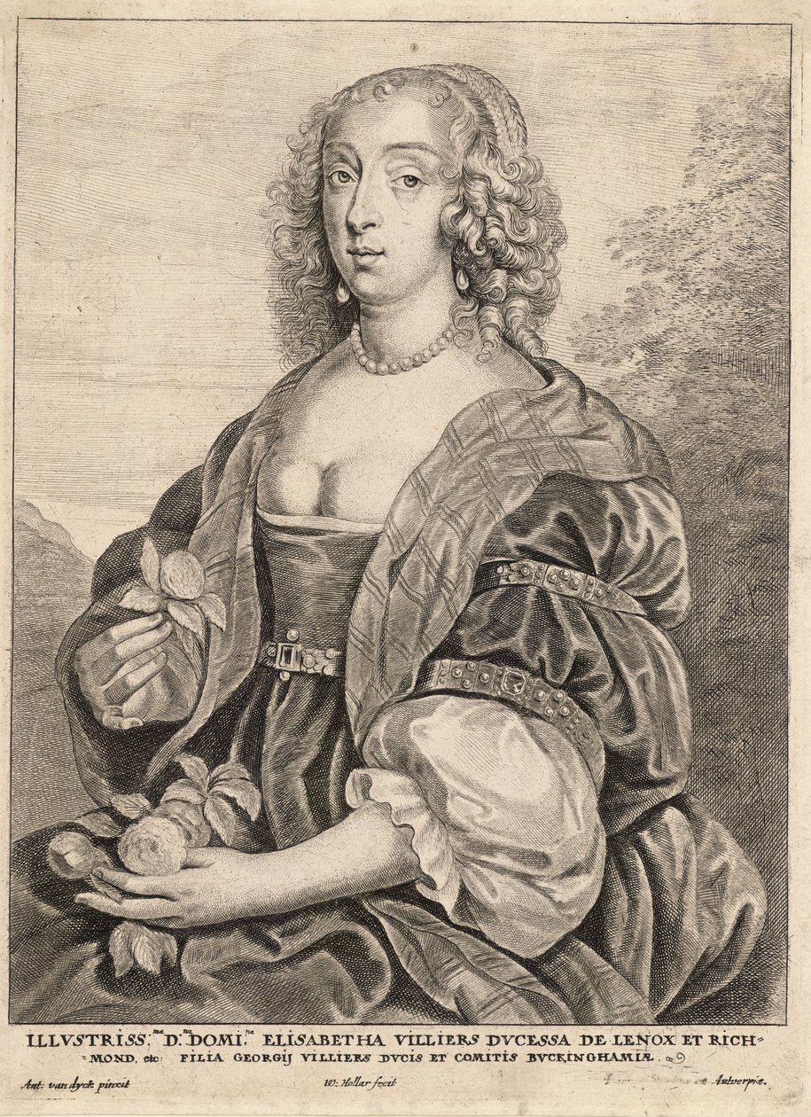Hertuginne av Lennox, etter van Dyck. Stat 5 av Wenceslaus Hollar