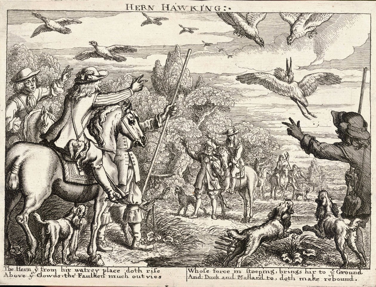 Hern hawking av Wenceslaus Hollar