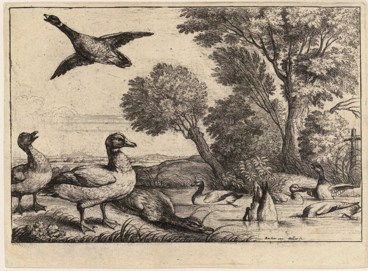 Ni ender. Stat 2 av Wenceslaus Hollar