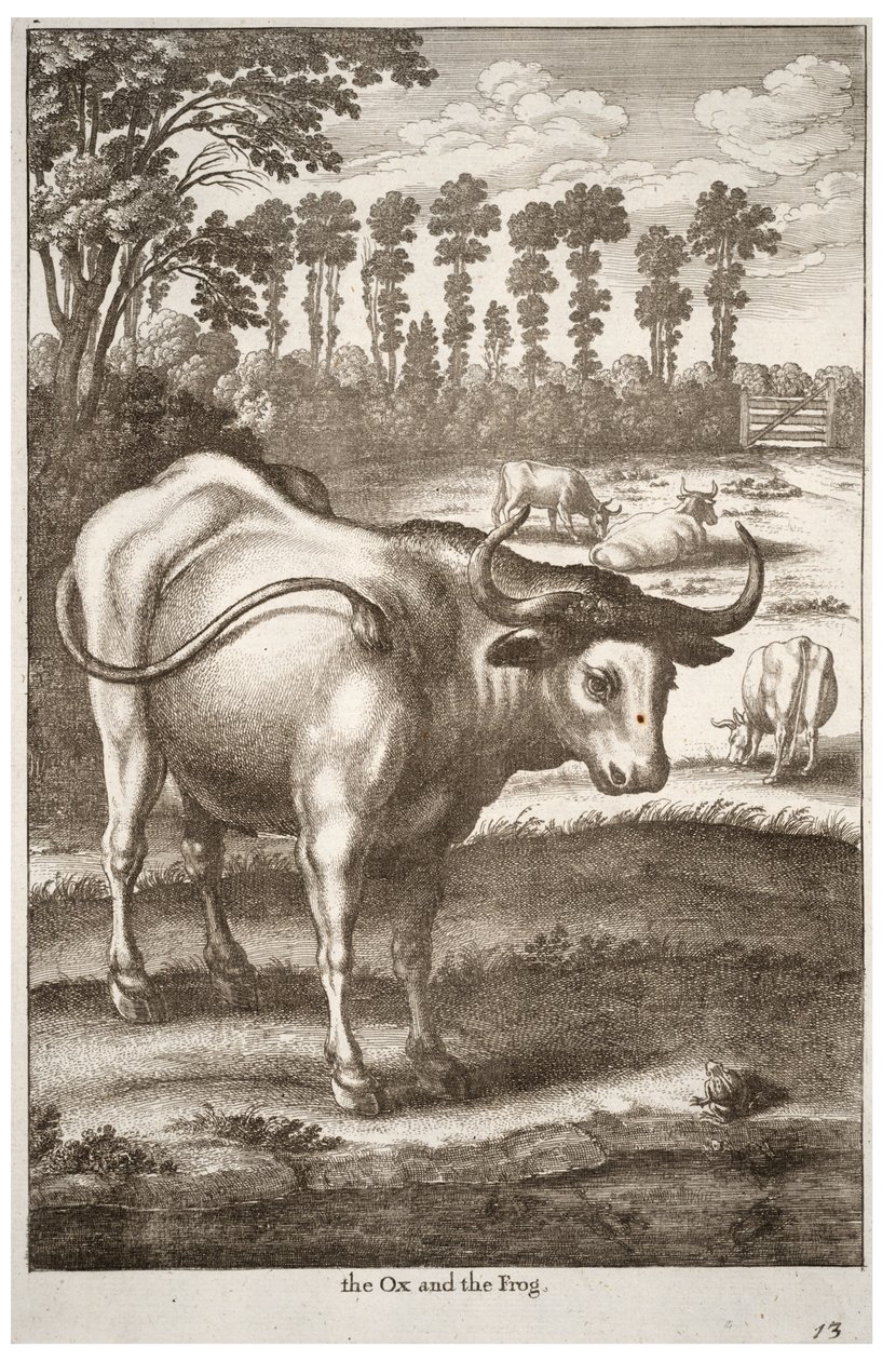 Okse og frosk av Wenceslaus Hollar