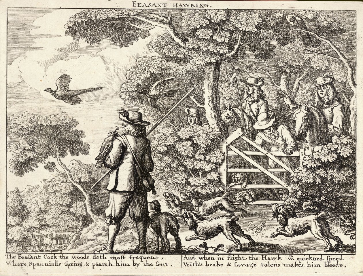 Fasanhauk av Wenceslaus Hollar
