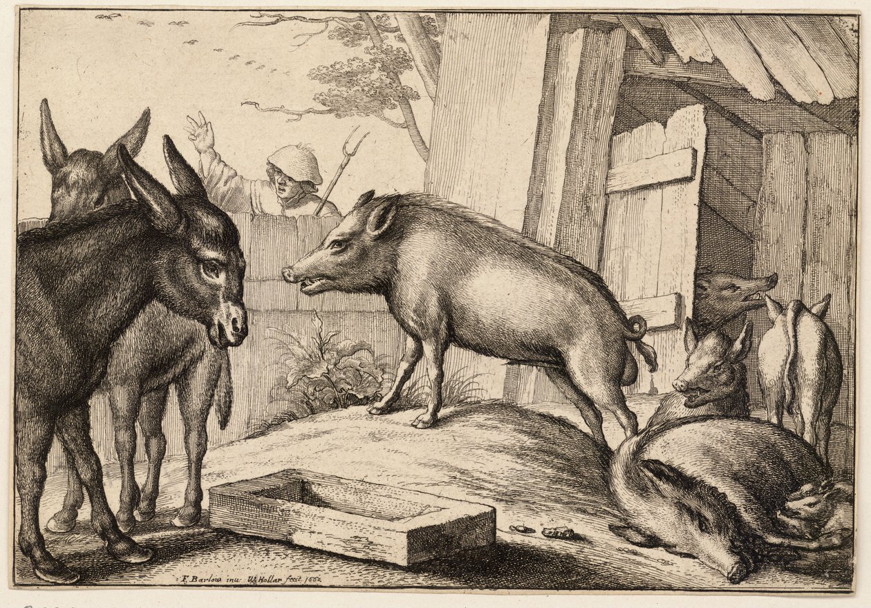 Griser og esler av Wenceslaus Hollar