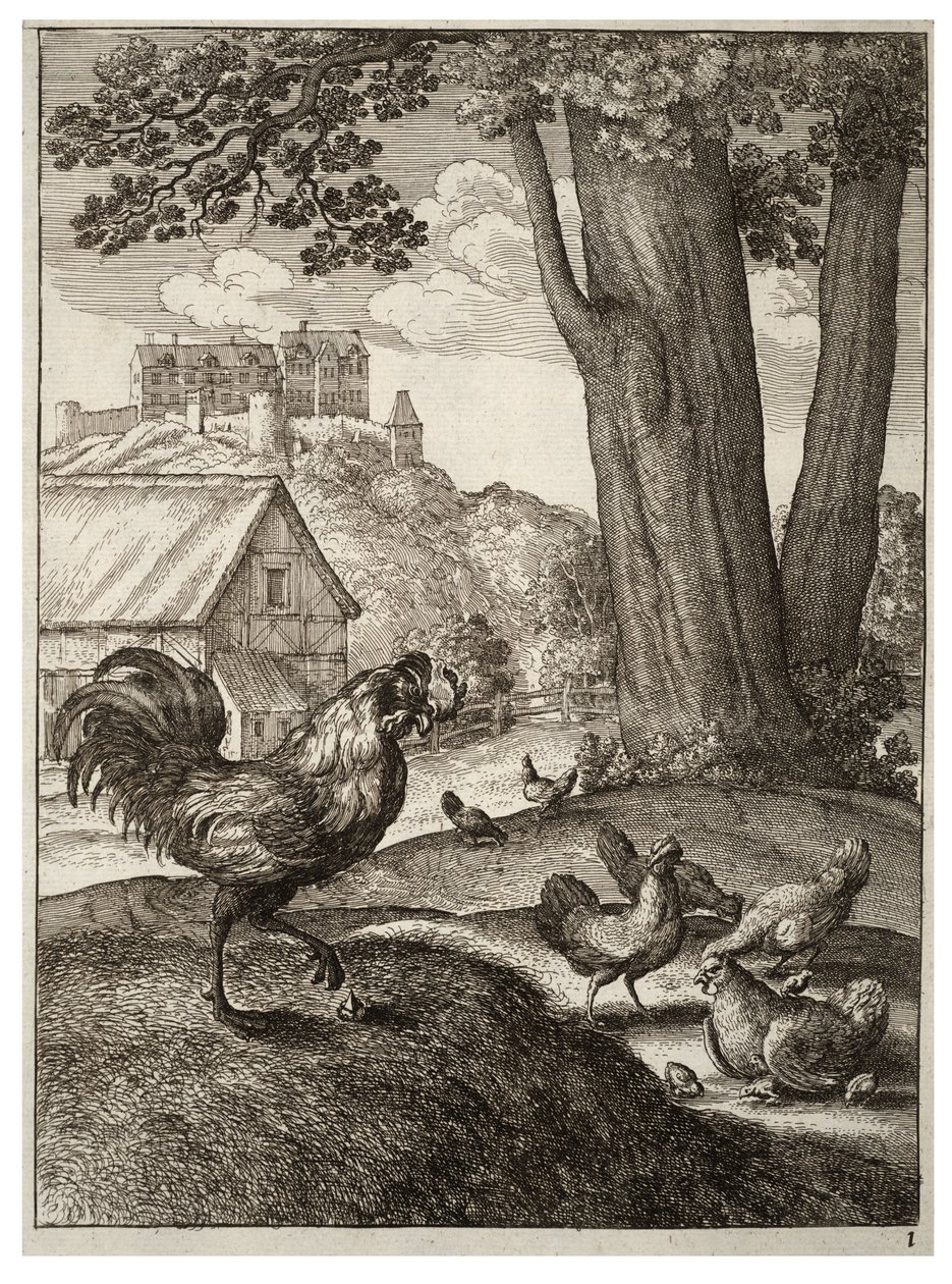 Hanen og juvelen av Wenceslaus Hollar