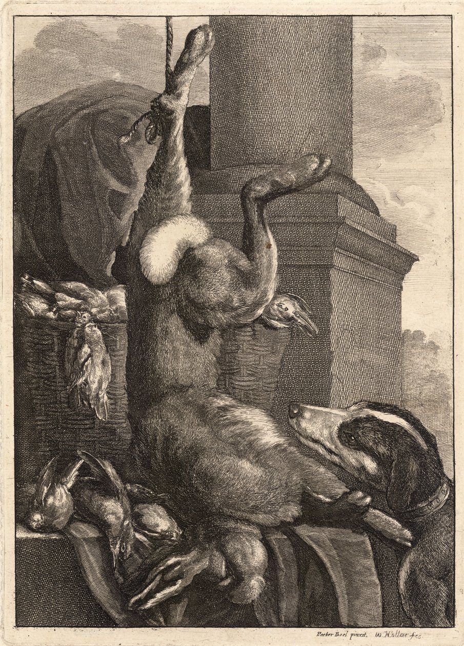 Den døde haren. Stat 3 av Wenceslaus Hollar