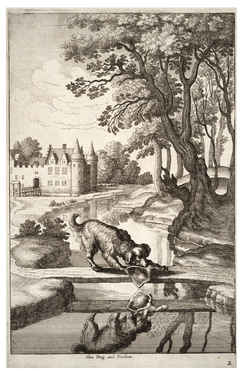Hunden og refleksjonen hans av Wenceslaus Hollar