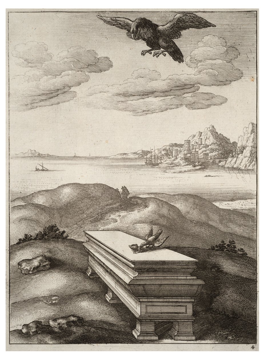 Ørnen og daw av Wenceslaus Hollar