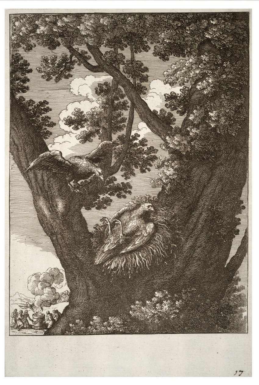 Den syke draken og moren av Wenceslaus Hollar