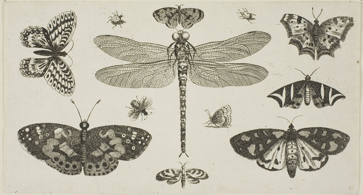  av Wenceslaus Hollar