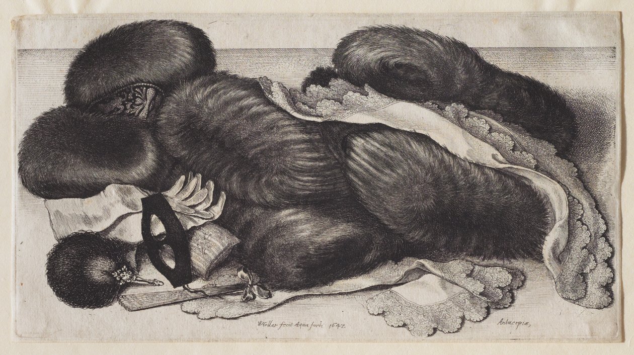 En gruppe muffediser av Wenceslaus Hollar