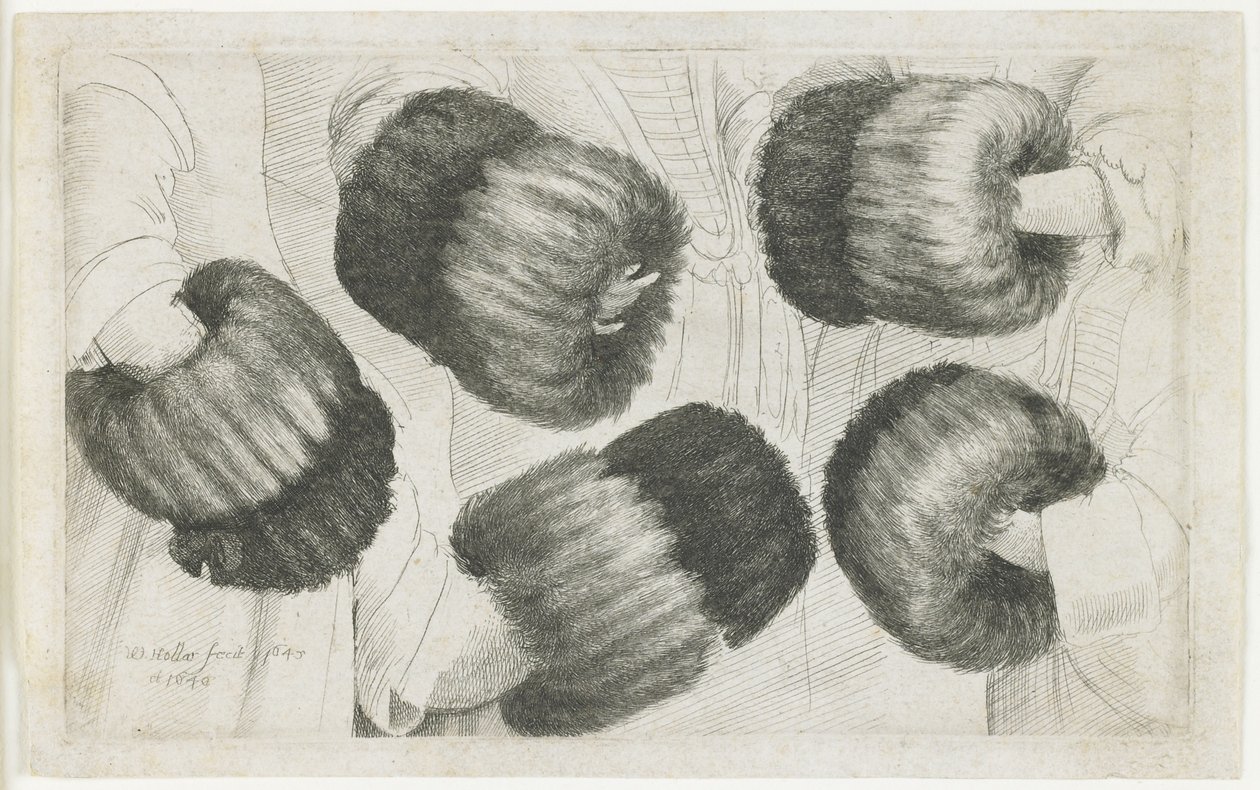 En muff i fem visninger, 1645-1646 av Wenceslaus Hollar