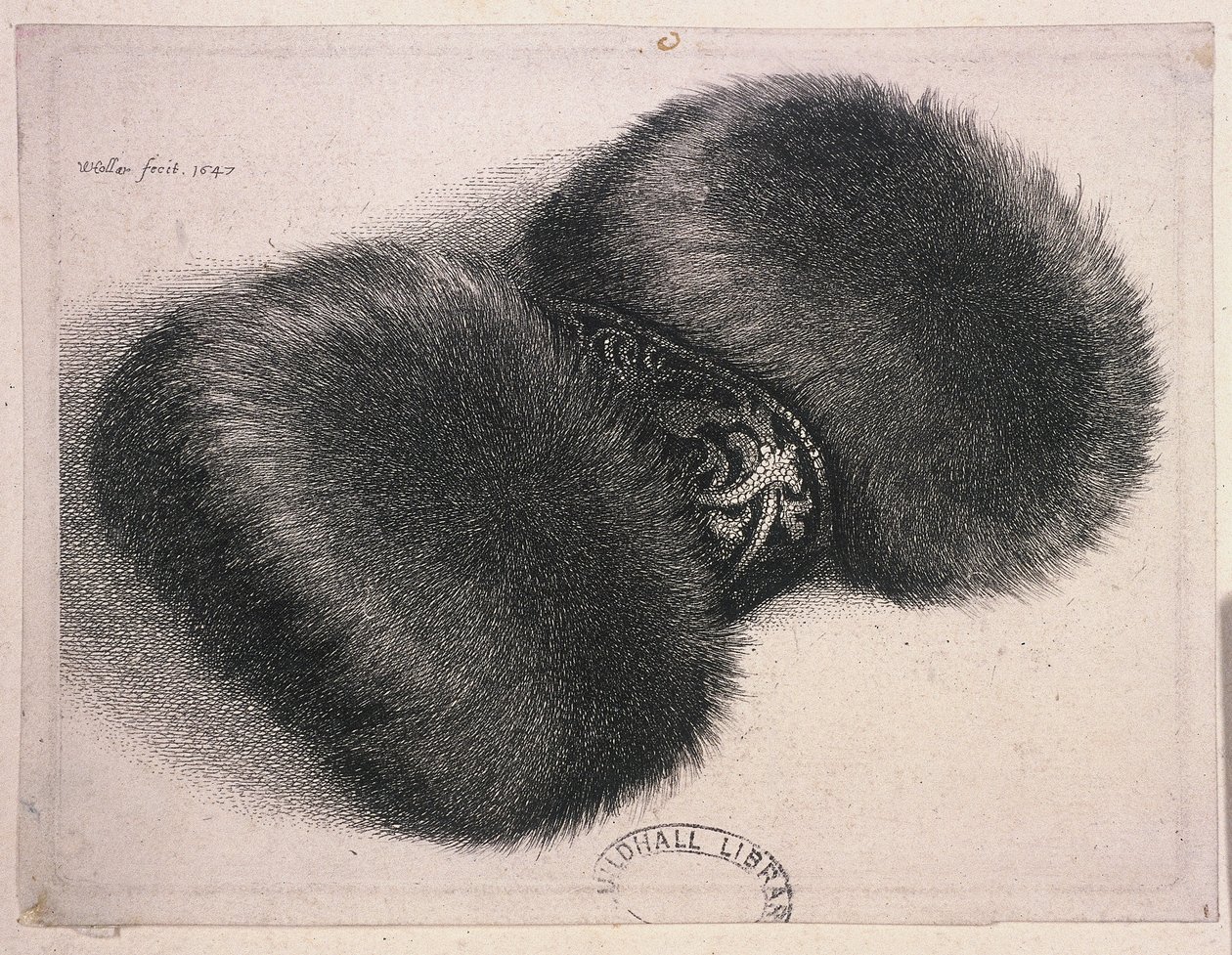 En stor muffe med et bånd av brokade, 1647 av Wenceslaus Hollar