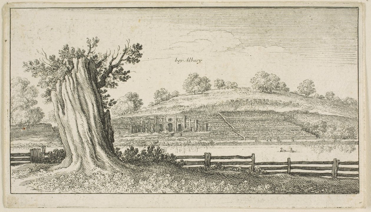 Albury med trestubbe i forgrunnen av Wenceslaus Hollar