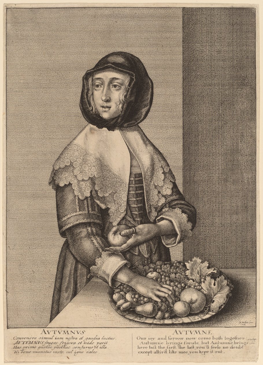 Høst av Wenceslaus Hollar