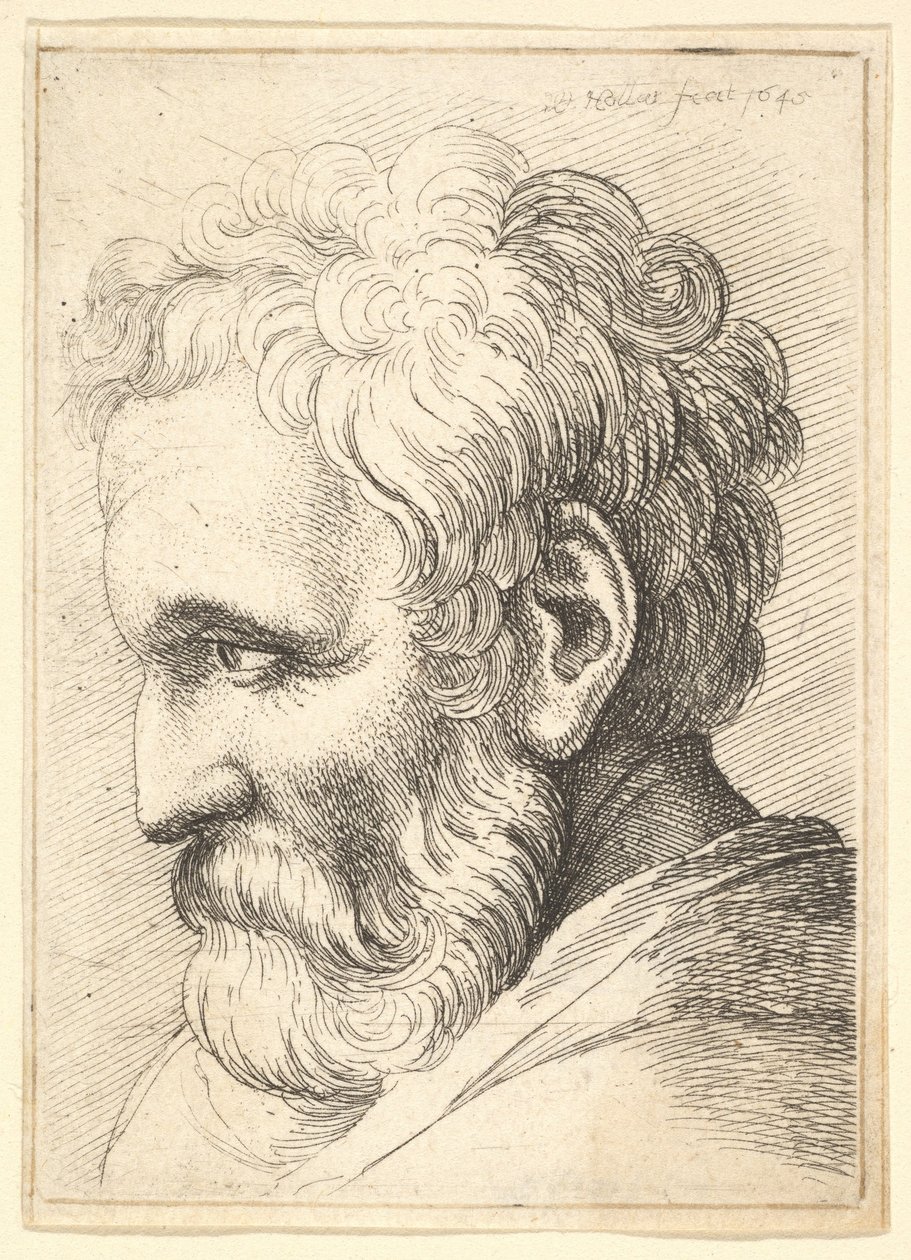 Skjeggete gammel mann av Wenceslaus Hollar