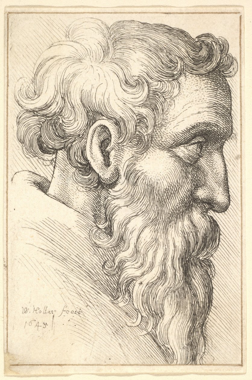 Skjeggete gammel mann i profil mot høyre av Wenceslaus Hollar