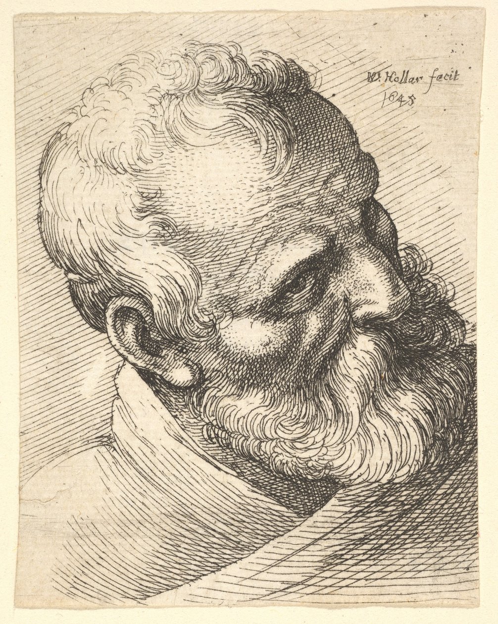 Skjegget gammel mann med skråstilt hode, 1645. av Wenceslaus Hollar
