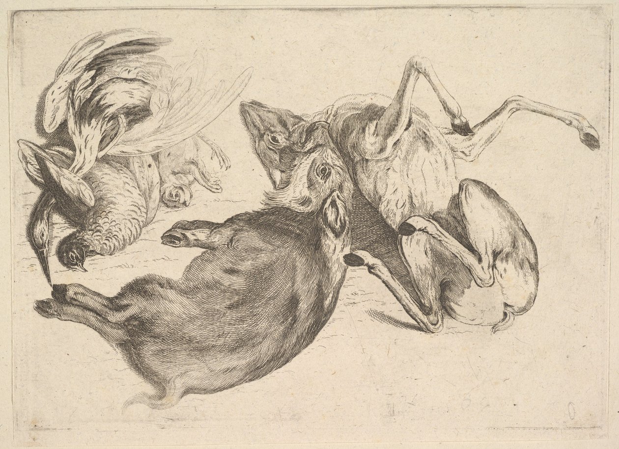 Villsvin, hjort, hegre og annet vilt, 1625-77. av Wenceslaus Hollar