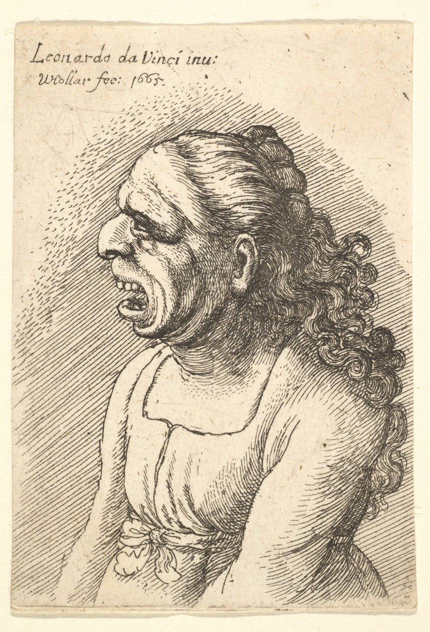 Byste av kvinne med vidåpen munn og langt krøllete hår som faller over skuldrene hennes, iført..., 1665. av Wenceslaus Hollar