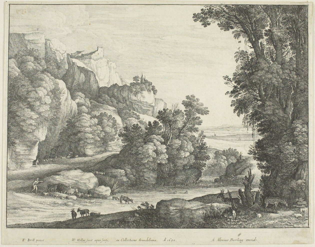 Storfe som drikker av Wenceslaus Hollar
