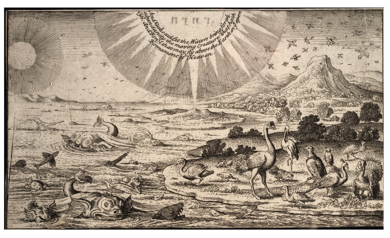 Skapelse av fugler og fisker. Tilstand 1 av Wenceslaus Hollar