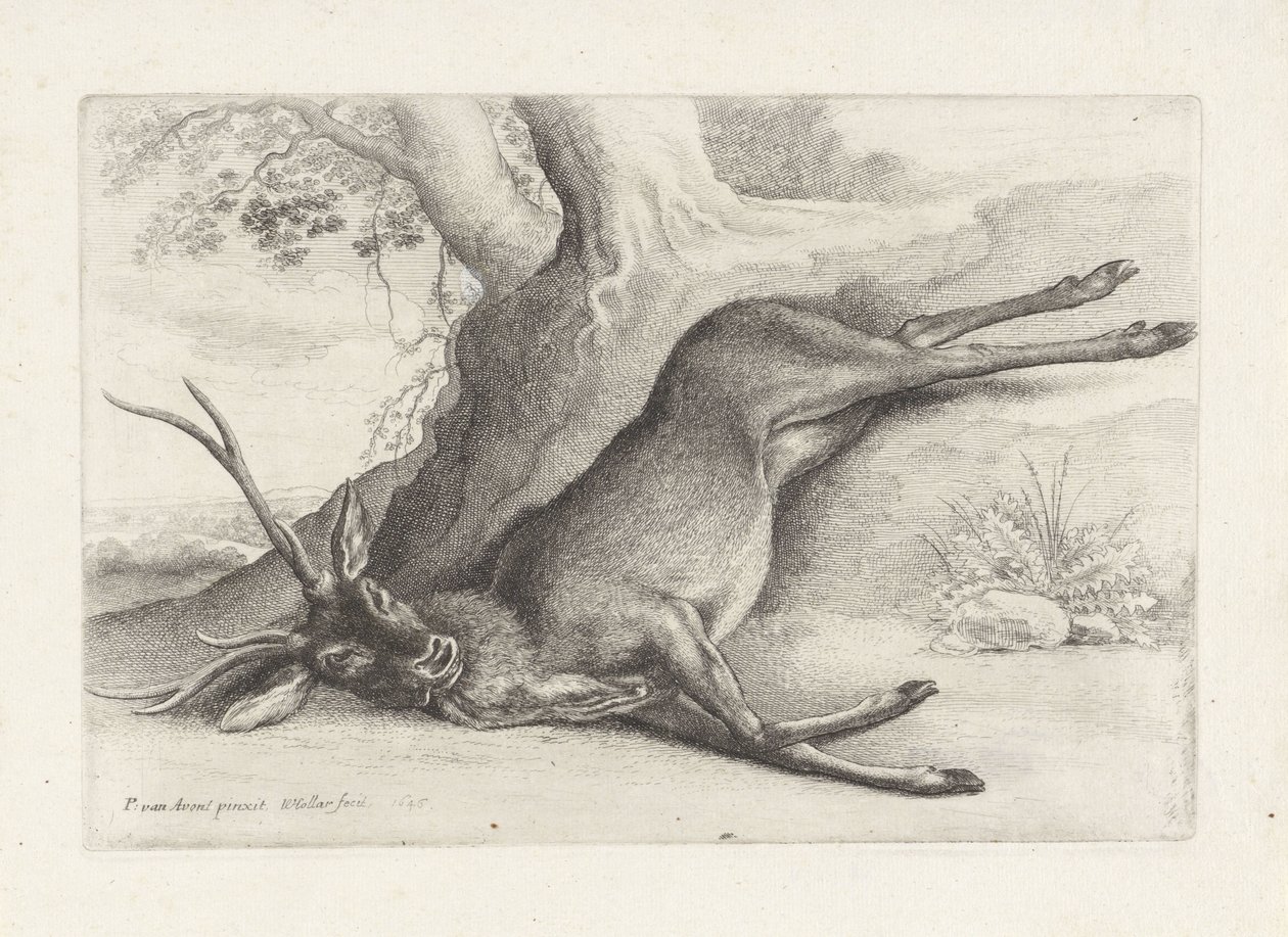 skutt hjort Jakt, jakthunder og vilt (serietittel) av Wenceslaus Hollar
