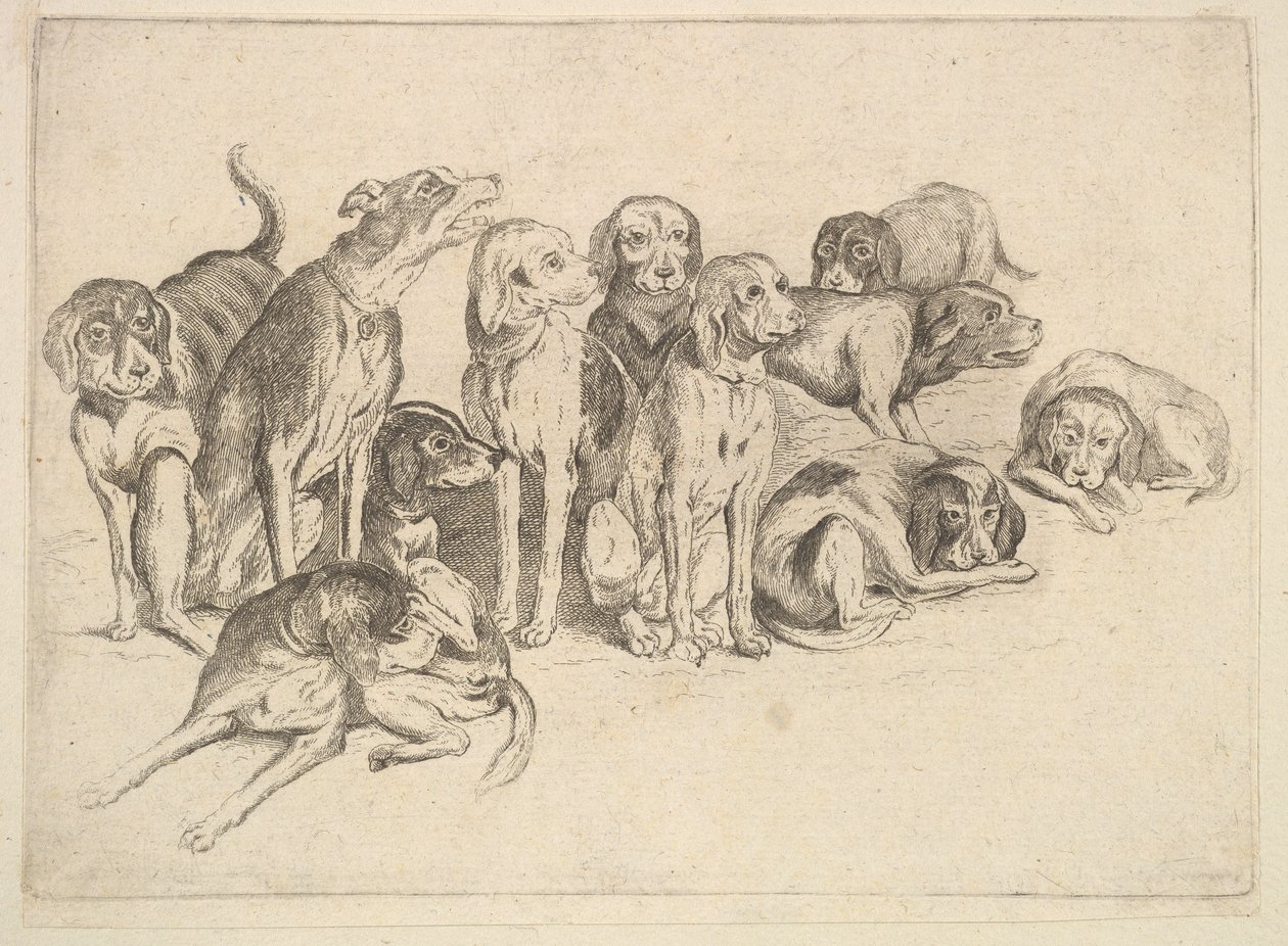 Elleve jakthunder av Wenceslaus Hollar