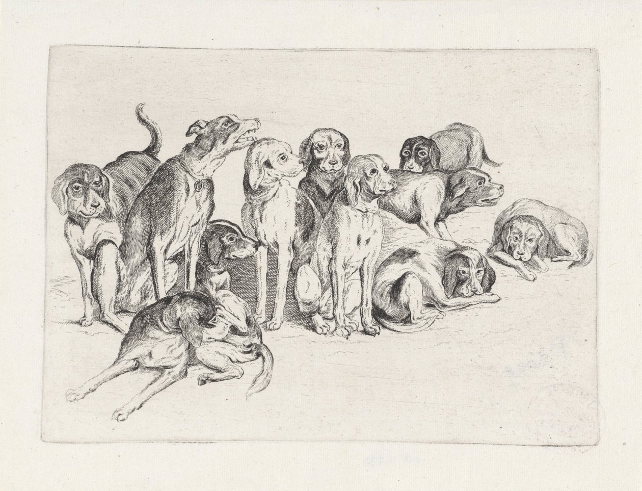 Elleve jakthunder av Wenceslaus Hollar