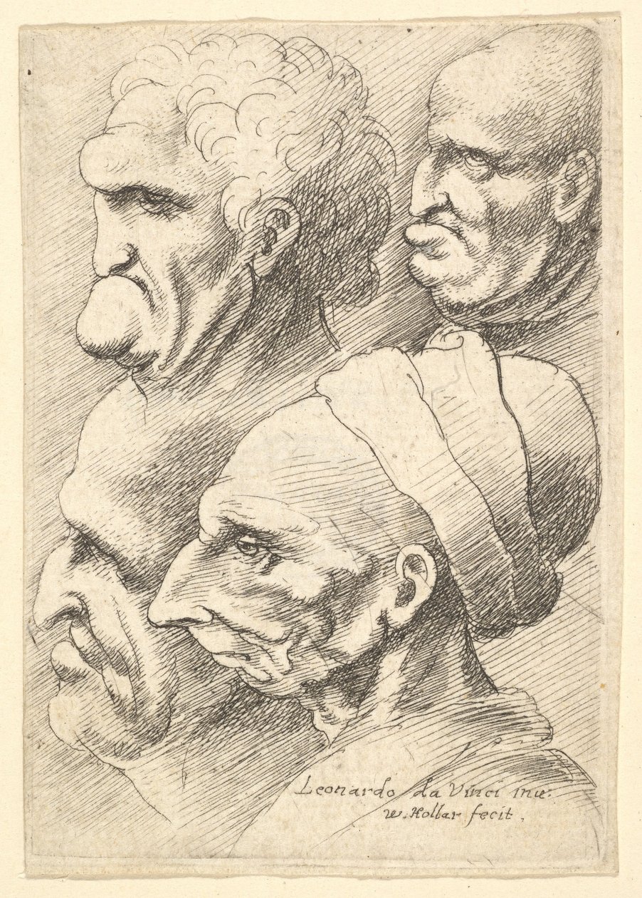 Fire groteske hoder i profil til venstre, 1625-77. av Wenceslaus Hollar