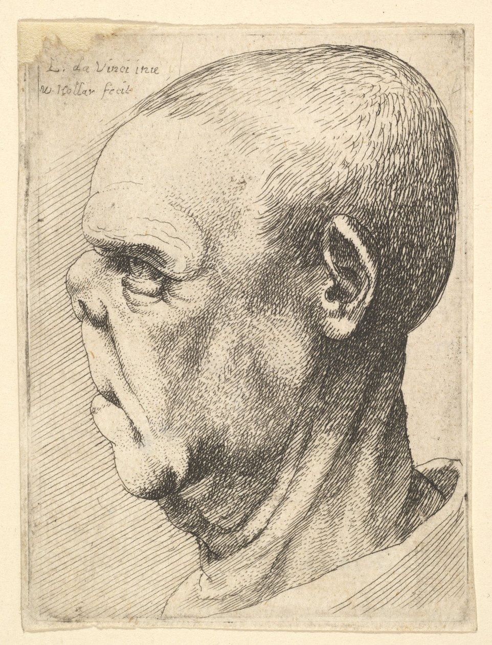 Grotesk gammel mann med flat nese i profil til venstre, 1625-77. av Wenceslaus Hollar